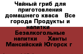 Чайный гриб для приготовления домашнего кваса - Все города Продукты и напитки » Безалкогольные напитки   . Ханты-Мансийский,Югорск г.